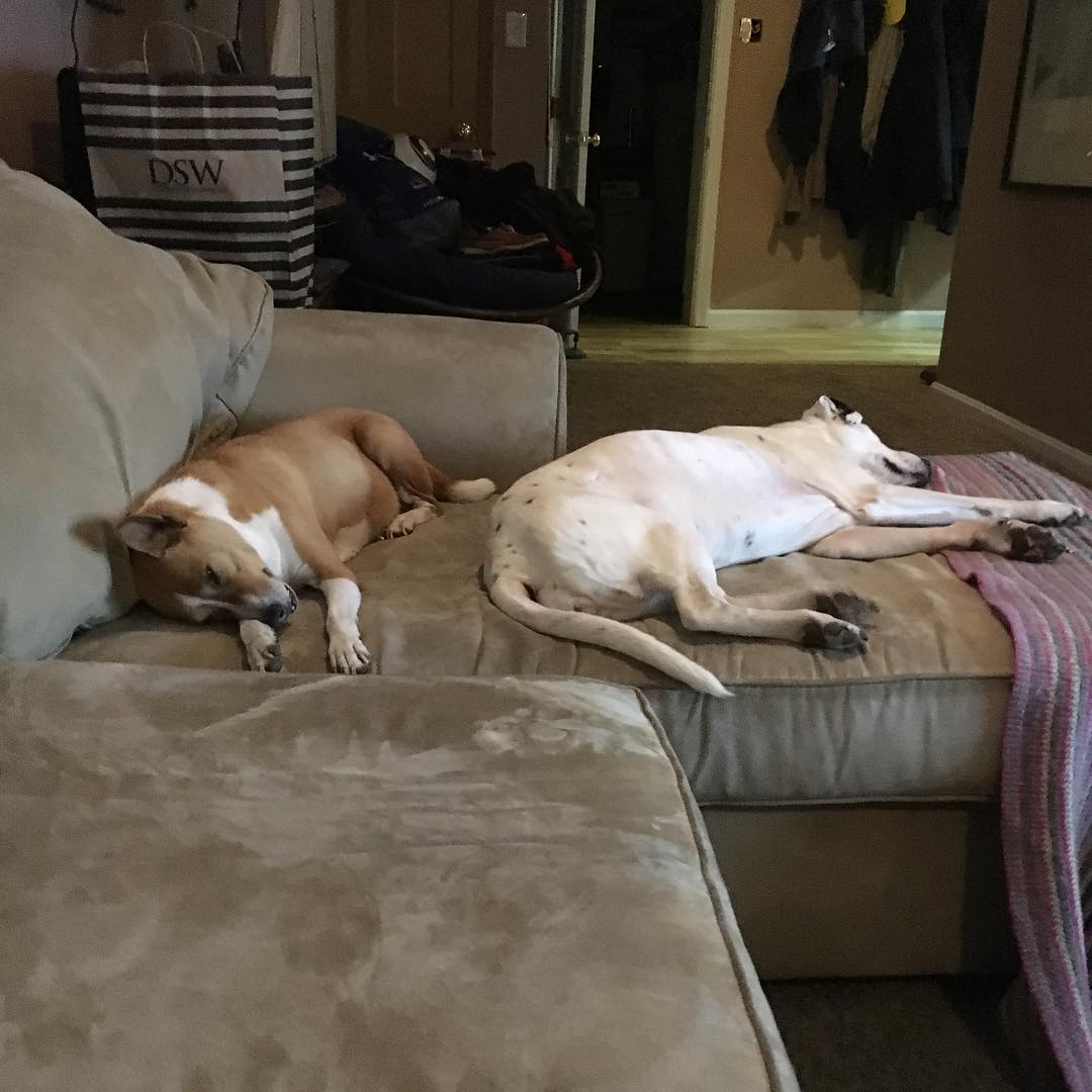 Kamby and Kenya sleeping together