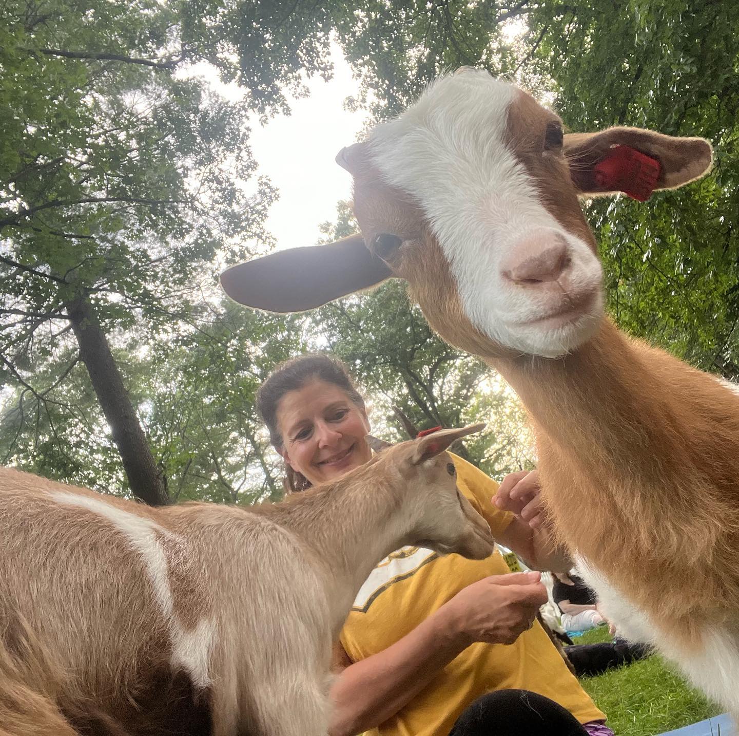 Mum feeding goats at goat yoga
